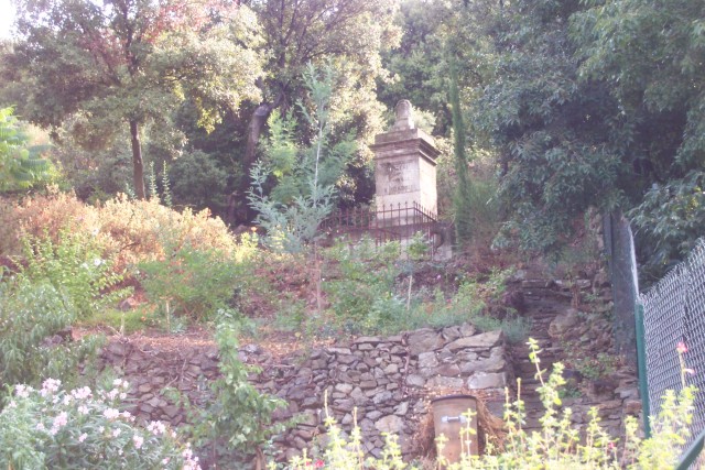 Allotment_05.jpg  (107.4 Kb)