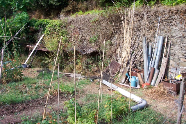 Allotment_10.jpg  (138.7 Kb)