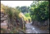 Allotment_02.jpg  (93.5 Kb)
