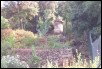 Allotment_05.jpg  (107.4 Kb)