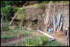 Allotment_10.jpg  (138.7 Kb)