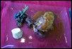 meal_gordon_steak.jpg  (89.7 Kb)