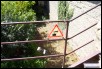 Carcasonne_07.jpg  (118.0 Kb)