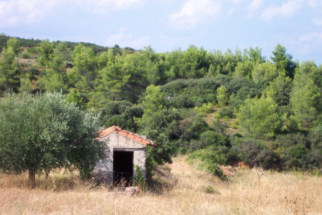 Countryside_02.jpg  (86.5 Kb)