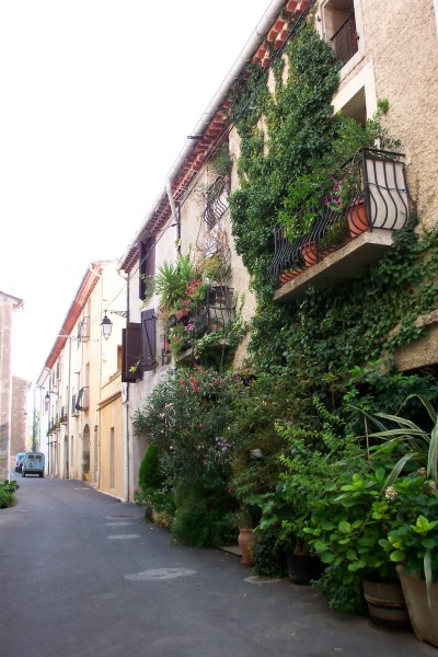 Faugeres_05.jpg  (73.5 Kb)