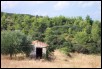 Countryside_02.jpg  (86.5 Kb)