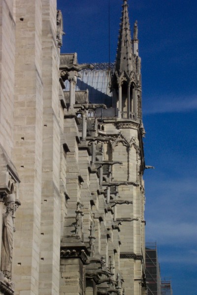 Notre_Dame_06.jpg  (57.1 Kb)