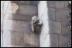 Notre_Dame_17.jpg  (48.3 Kb)