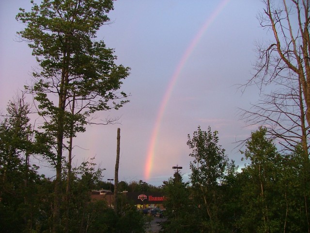 DSCF1817.jpg  (92.7 Kb)