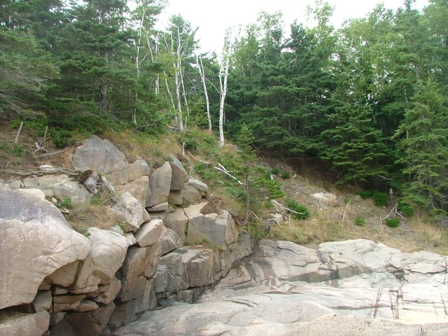 DSCF1828.jpg  (115.5 Kb)
