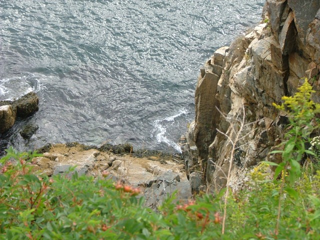 DSCF1841.jpg  (126.8 Kb)