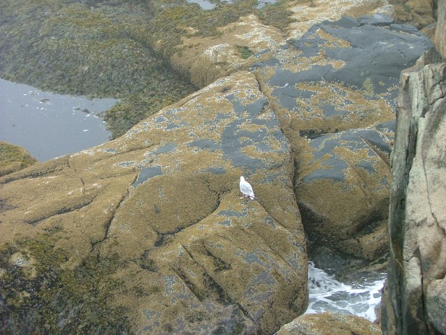 DSCF1941.jpg  (116.3 Kb)