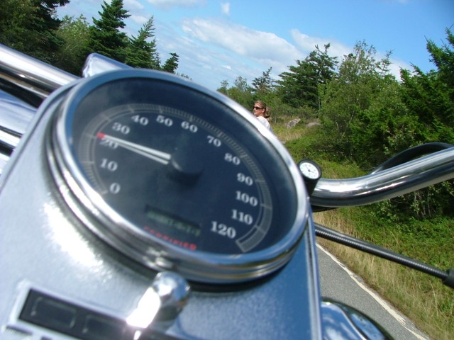 DSCF2008.jpg  (79.1 Kb)