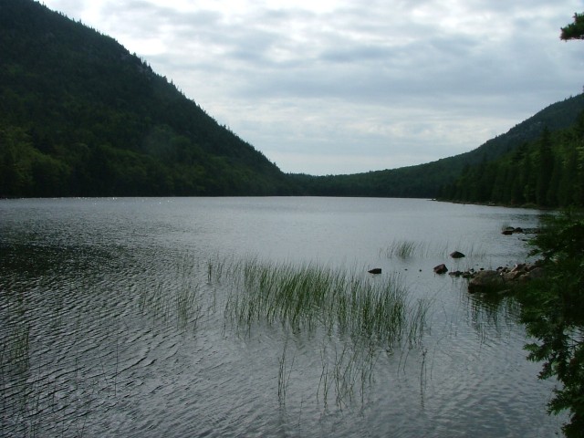 DSCF2100.jpg  (73.4 Kb)