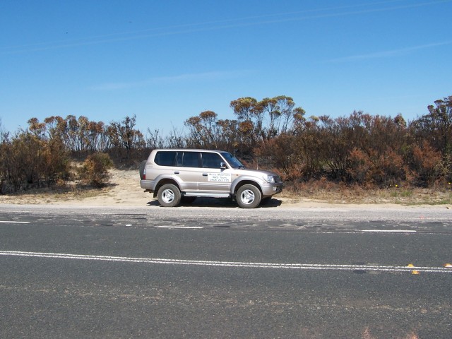 100_2331.jpg  (79.2 Kb)