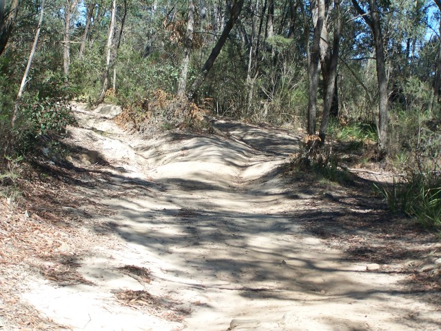 100_2345.jpg  (133.2 Kb)