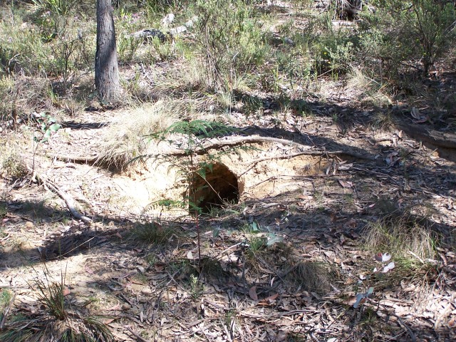 100_2348.jpg  (163.6 Kb)