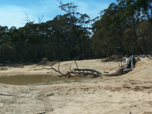 100_2356.jpg  (90.8 Kb)