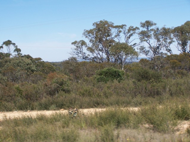 100_2361.jpg  (86.9 Kb)