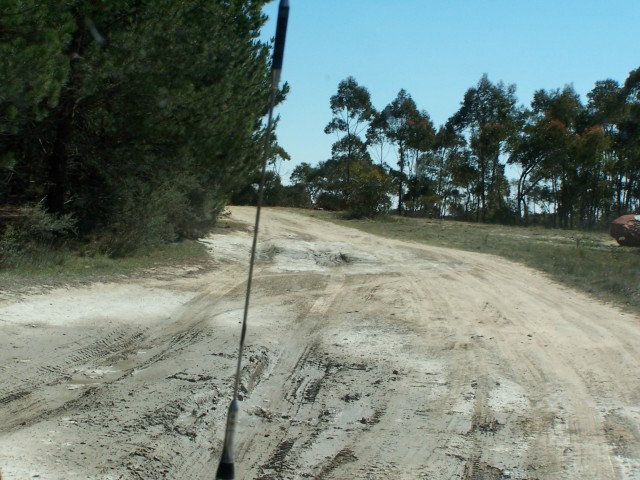 100_2362.jpg  (90.1 Kb)