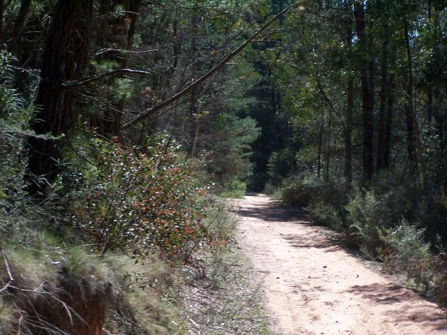 100_2372.jpg  (115.4 Kb)