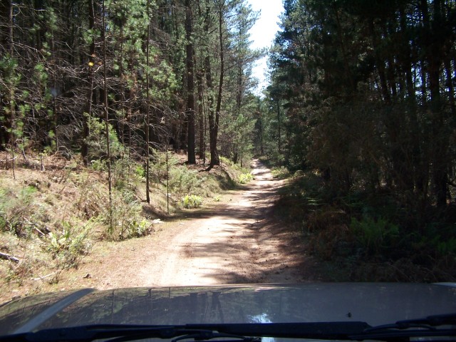 100_2375.jpg  (108.9 Kb)