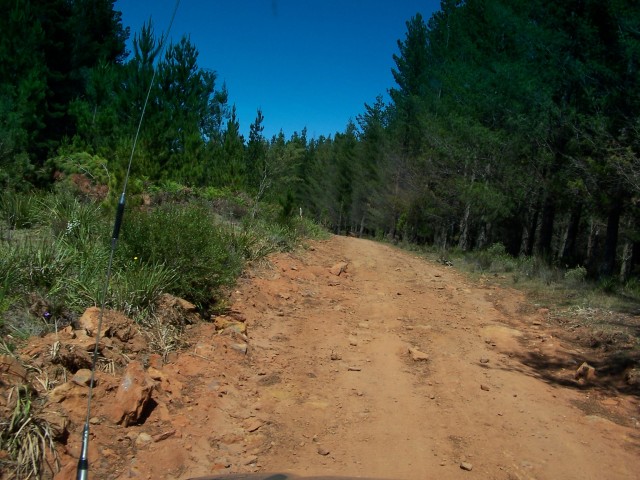 100_2377.jpg  (93.3 Kb)