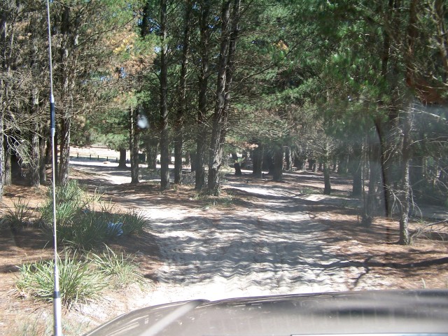 100_2382.jpg  (126.2 Kb)
