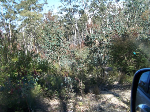 100_2387.jpg  (133.8 Kb)