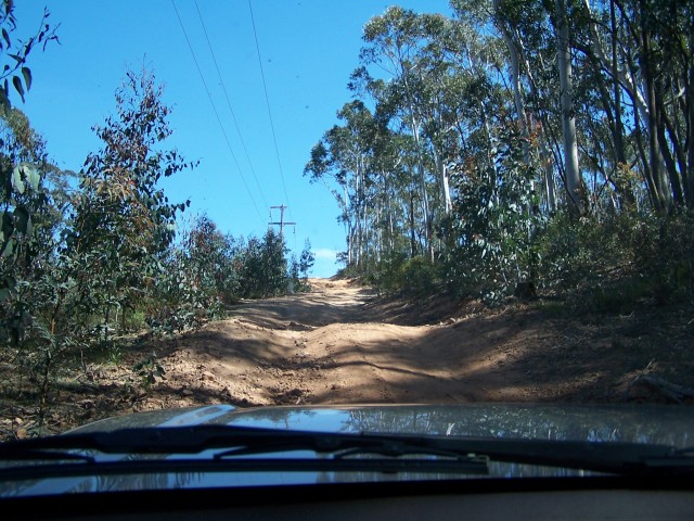 100_2393.jpg  (111.1 Kb)