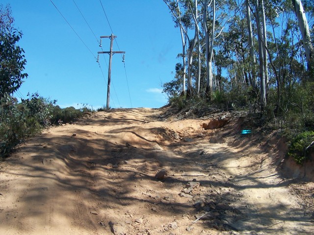 100_2395.jpg  (113.8 Kb)