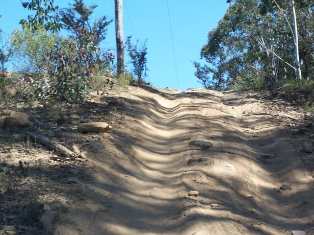 100_2402.jpg  (105.8 Kb)