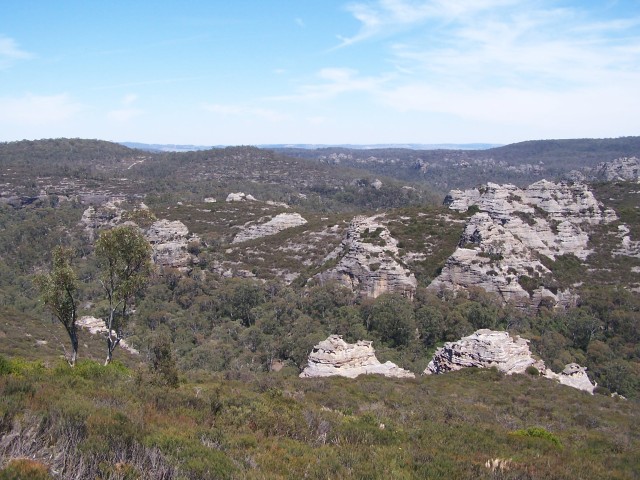 100_2431.jpg  (93.7 Kb)