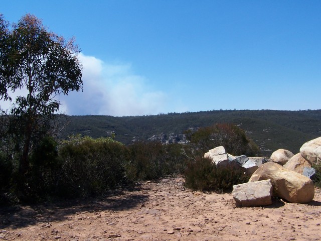 100_2433.jpg  (82.7 Kb)