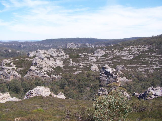 100_2435.jpg  (99.6 Kb)