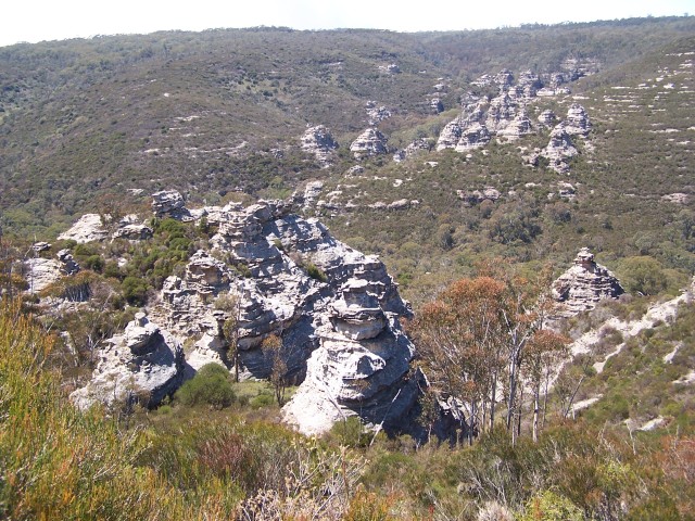 100_2442.jpg  (136.2 Kb)