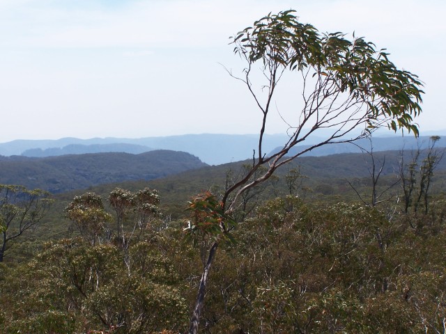 100_2473.jpg  (92.8 Kb)