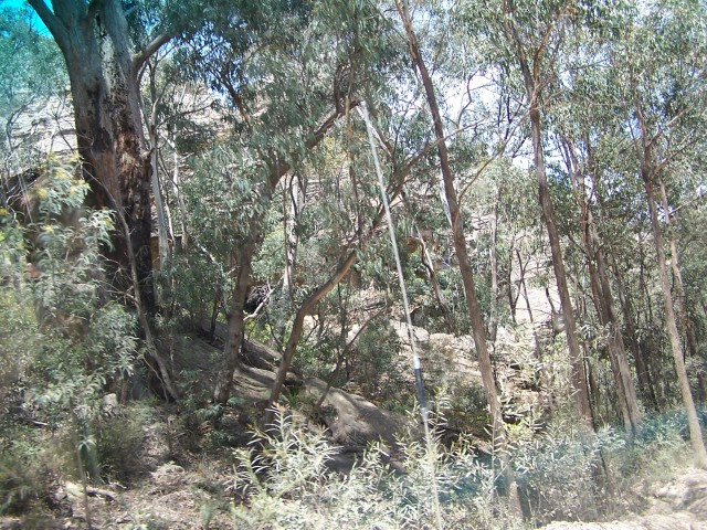 100_2483.jpg  (157.0 Kb)