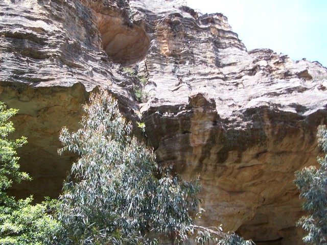 100_2487.jpg  (122.7 Kb)