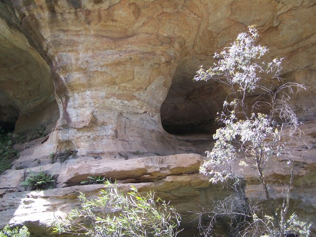 100_2489.jpg  (110.7 Kb)