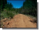 100_2377.jpg  (93.3 Kb)