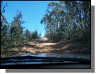100_2393.jpg  (111.1 Kb)