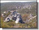 100_2442.jpg  (136.2 Kb)