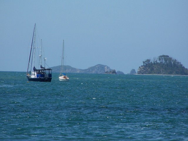 100_2950.jpg  (60.3 Kb)