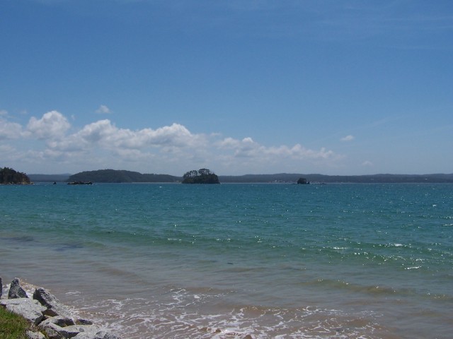 100_2954.jpg  (50.5 Kb)