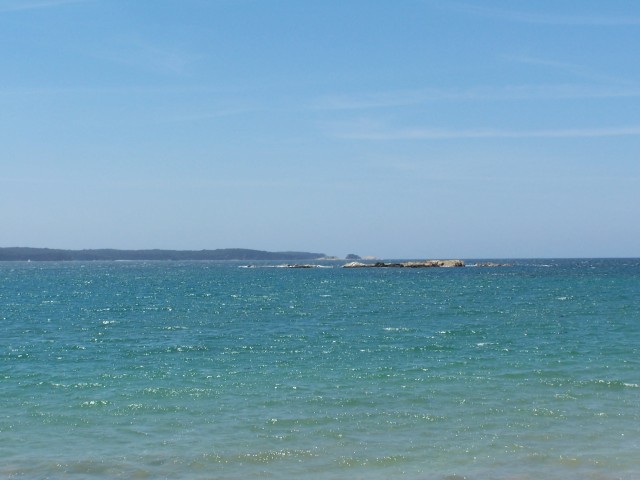 100_2955.jpg  (48.5 Kb)