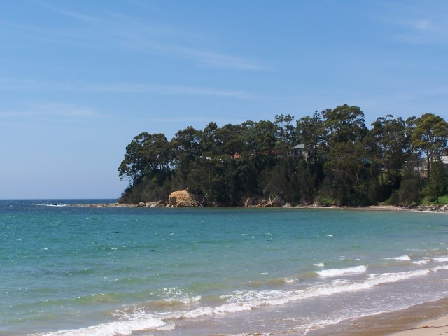 100_2956.jpg  (60.2 Kb)