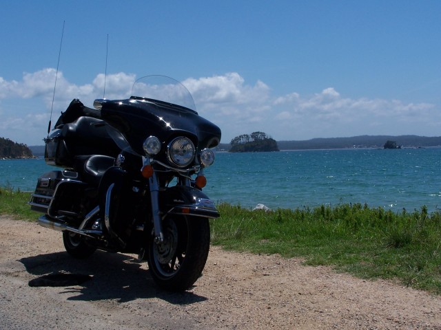 100_2959.jpg  (71.9 Kb)