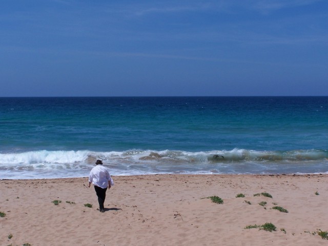 100_2967.jpg  (50.4 Kb)