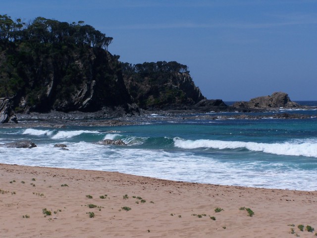 100_2971.jpg  (71.7 Kb)